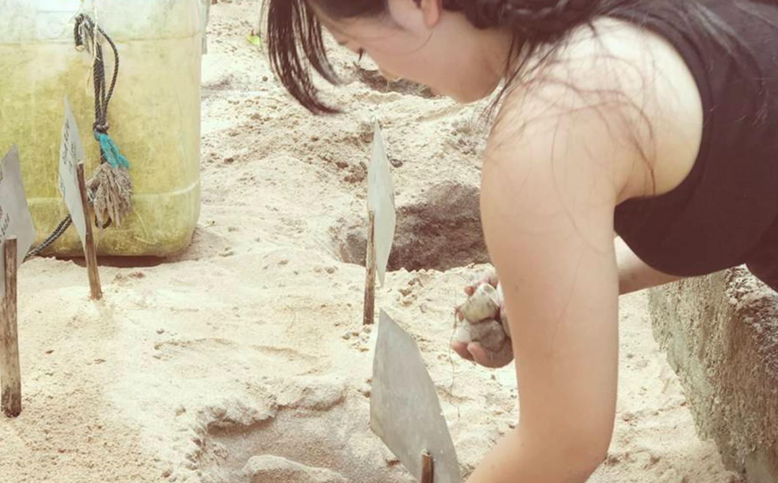 スリランカでウミガメ保護活動に取り組む高校生ボランティア・小野天愛さん
